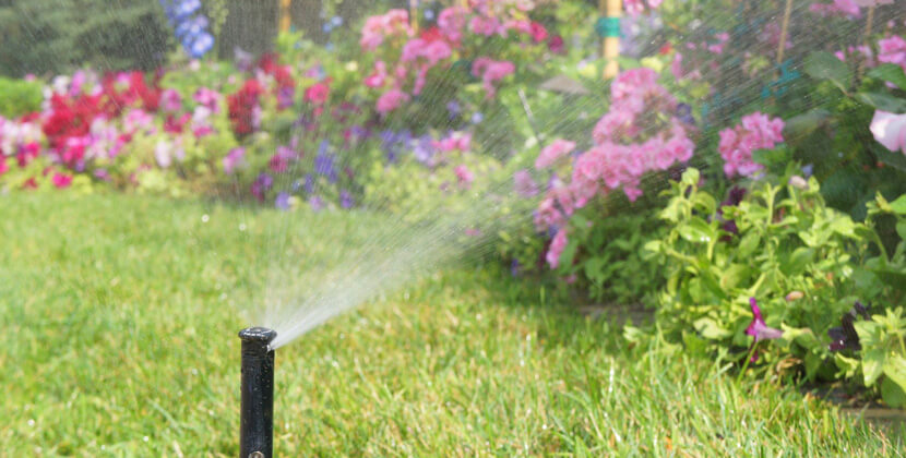 Good Ways to Maintain Your Irrigation System in the Spring